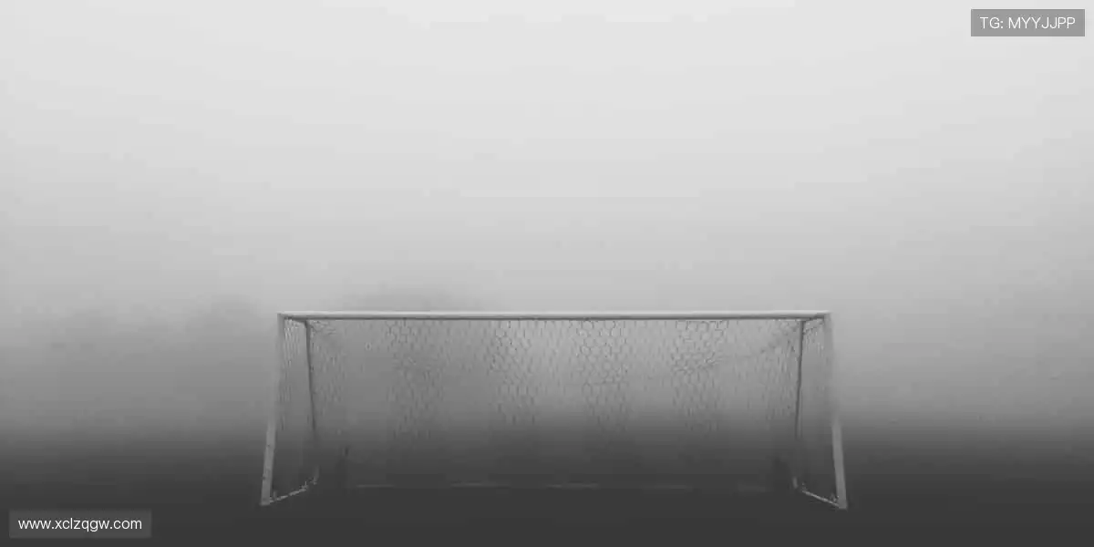 高清直播，实时互动，身临其境！🎯